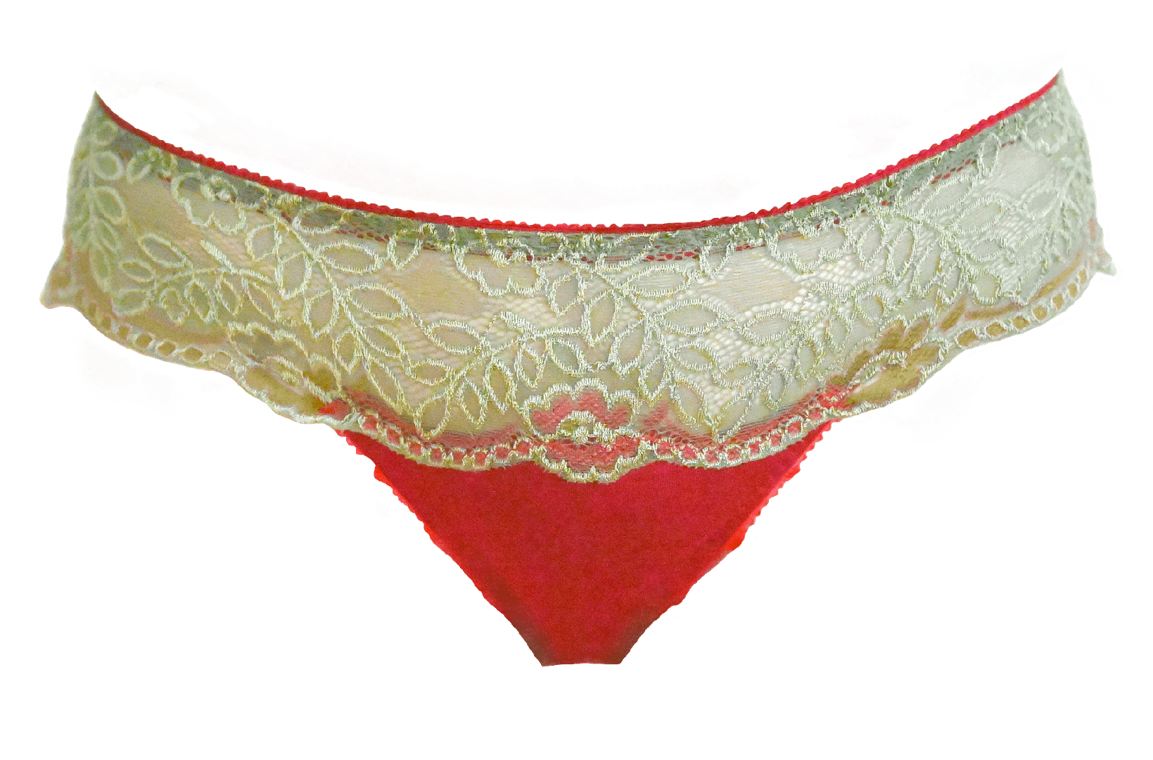 Nähkurs Dessous ⎪ Individuelle BH selber nähen exklusiv für sie designte Modelle, wie Mimose